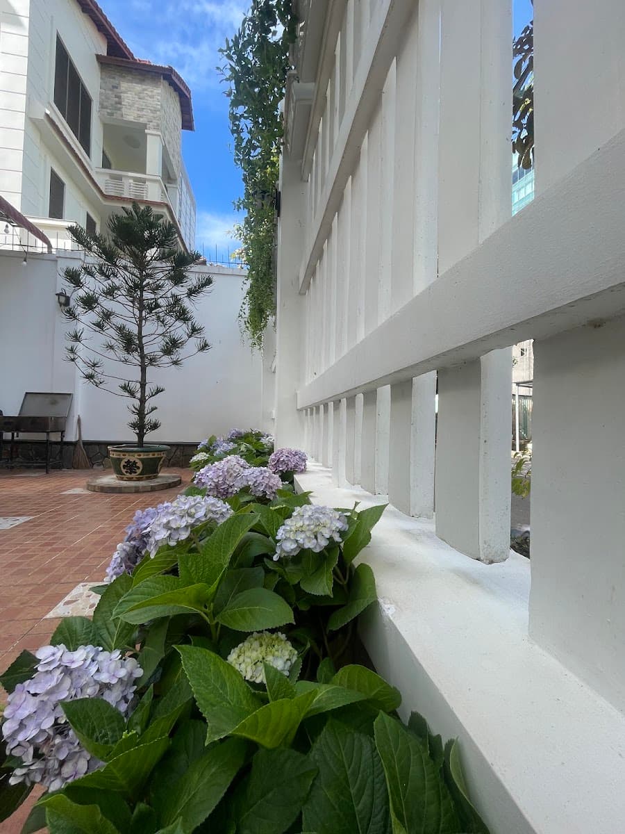 Kegotel Villa Bãi Sau - Central 01